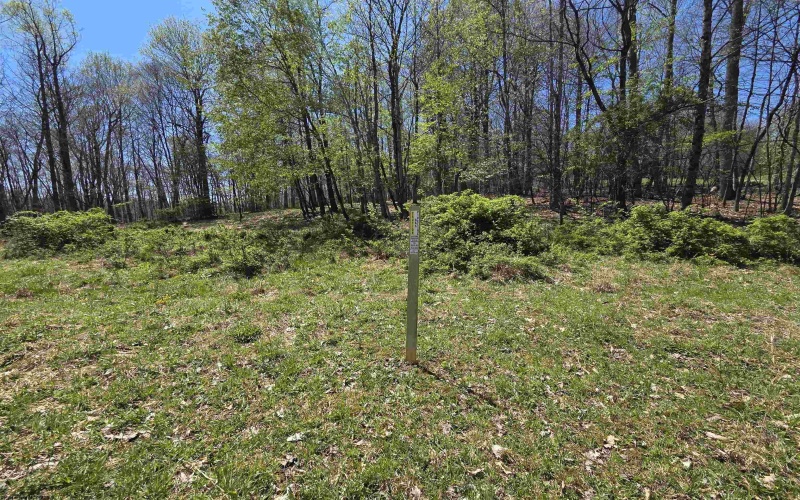 Lot 6 Deerbrook Estates, Belington, West Virginia 26250, ,Lots/land,For Sale,Deerbrook,10164395