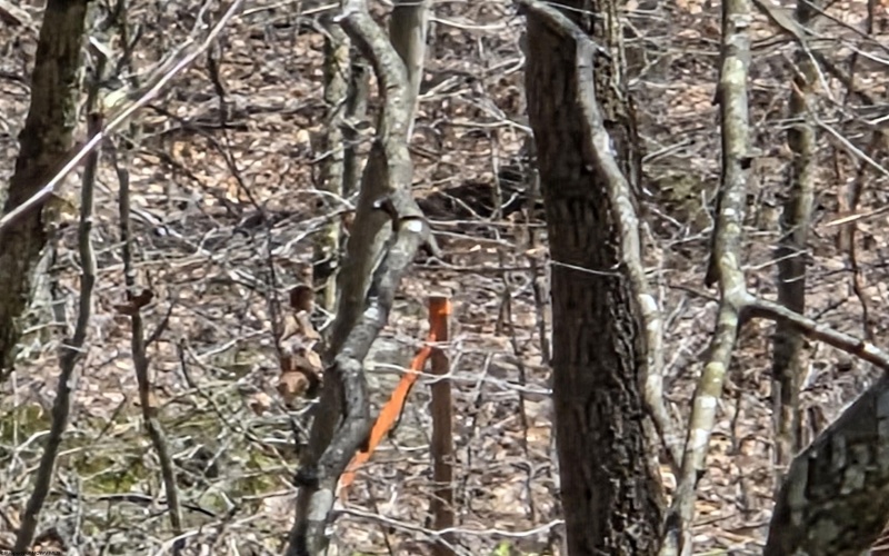 Lot 6 Deerbrook Estates, Belington, West Virginia 26250, ,Lots/land,For Sale,Deerbrook,10164395