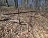 Lot 6 Deerbrook Estates, Belington, West Virginia 26250, ,Lots/land,For Sale,Deerbrook,10164395