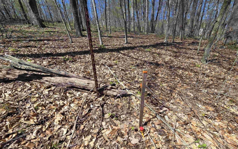 Lot 6 Deerbrook Estates, Belington, West Virginia 26250, ,Lots/land,For Sale,Deerbrook,10164395