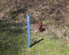 Lot 6 Deerbrook Estates, Belington, West Virginia 26250, ,Lots/land,For Sale,Deerbrook,10164395