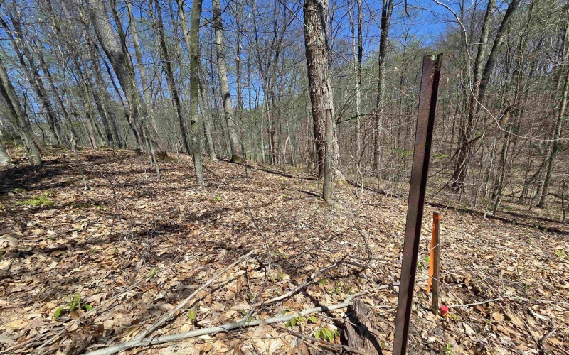 Lot 6 Deerbrook Estates, Belington, West Virginia 26250, ,Lots/land,For Sale,Deerbrook,10164395