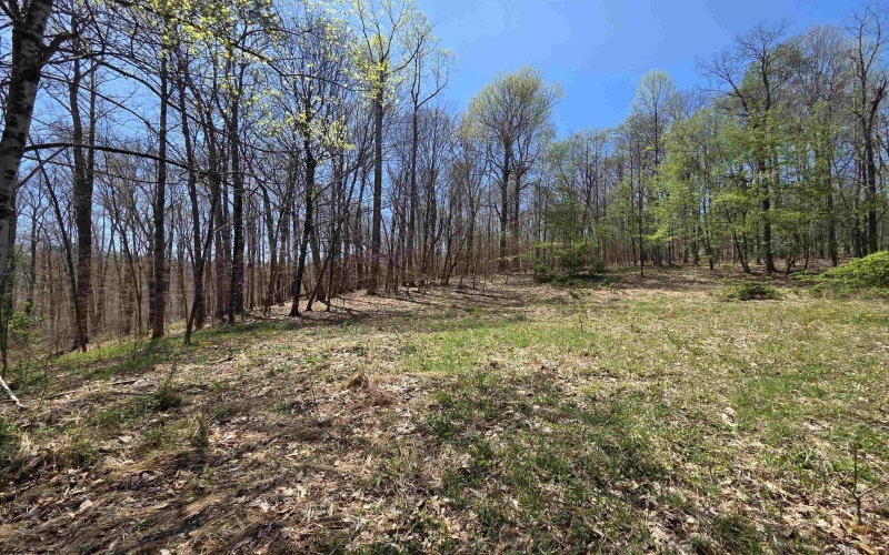 Lot 6 Deerbrook Estates, Belington, West Virginia 26250, ,Lots/land,For Sale,Deerbrook,10164395
