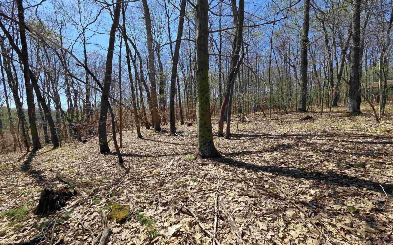 Lot 6 Deerbrook Estates, Belington, West Virginia 26250, ,Lots/land,For Sale,Deerbrook,10164395