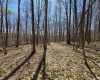 Lot 6 Deerbrook Estates, Belington, West Virginia 26250, ,Lots/land,For Sale,Deerbrook,10164395