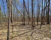 Lot 6 Deerbrook Estates, Belington, West Virginia 26250, ,Lots/land,For Sale,Deerbrook,10164395