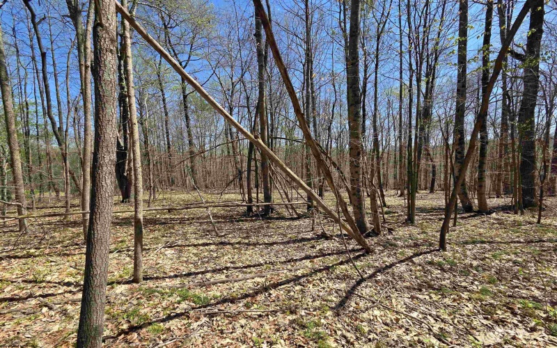 Lot 6 Deerbrook Estates, Belington, West Virginia 26250, ,Lots/land,For Sale,Deerbrook,10164395