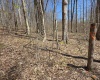 Lot 6 Deerbrook Estates, Belington, West Virginia 26250, ,Lots/land,For Sale,Deerbrook,10164395