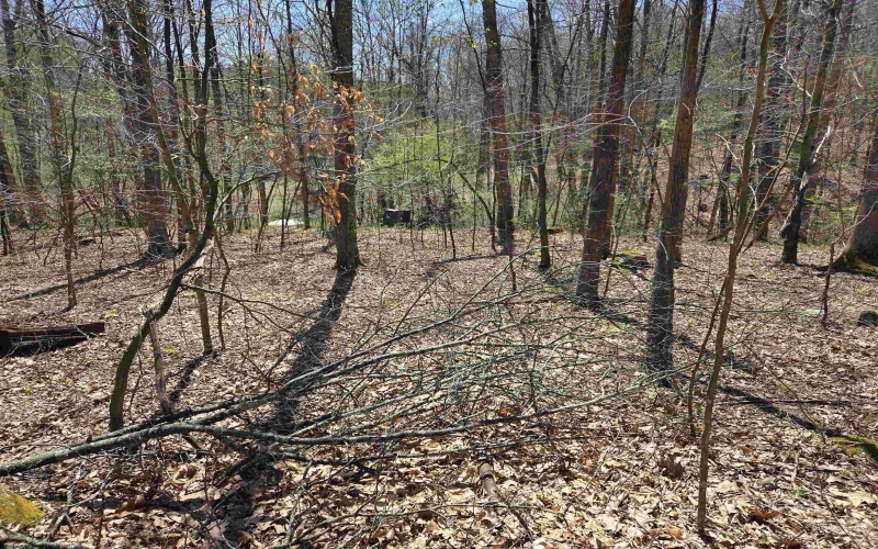 Lot 6 Deerbrook Estates, Belington, West Virginia 26250, ,Lots/land,For Sale,Deerbrook,10164395