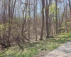 Lot 6 Deerbrook Estates, Belington, West Virginia 26250, ,Lots/land,For Sale,Deerbrook,10164395