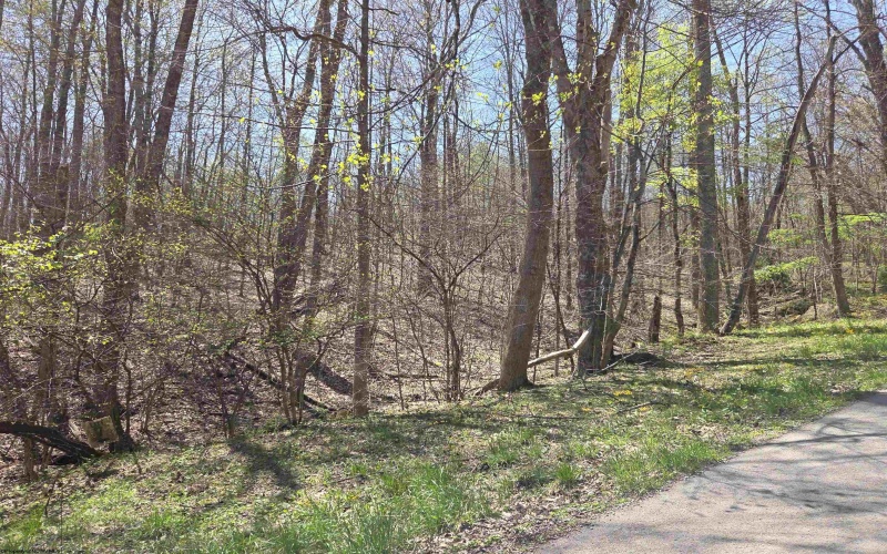 Lot 6 Deerbrook Estates, Belington, West Virginia 26250, ,Lots/land,For Sale,Deerbrook,10164395