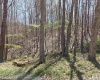 Lot 6 Deerbrook Estates, Belington, West Virginia 26250, ,Lots/land,For Sale,Deerbrook,10164395