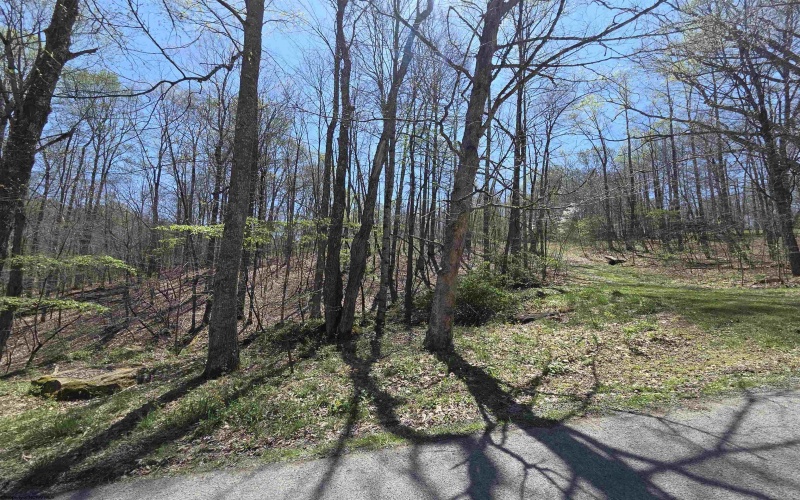 Lot 6 Deerbrook Estates, Belington, West Virginia 26250, ,Lots/land,For Sale,Deerbrook,10164395
