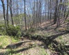 Lot 6 Deerbrook Estates, Belington, West Virginia 26250, ,Lots/land,For Sale,Deerbrook,10164395