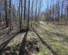 Lot 6 Deerbrook Estates, Belington, West Virginia 26250, ,Lots/land,For Sale,Deerbrook,10164395