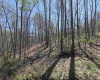 Lot 6 Deerbrook Estates, Belington, West Virginia 26250, ,Lots/land,For Sale,Deerbrook,10164395