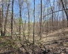 Lot 6 Deerbrook Estates, Belington, West Virginia 26250, ,Lots/land,For Sale,Deerbrook,10164395
