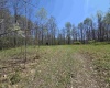 Lot 6 Deerbrook Estates, Belington, West Virginia 26250, ,Lots/land,For Sale,Deerbrook,10164395