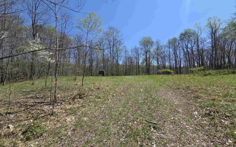 Lot 6 Deerbrook Estates, Belington, West Virginia 26250, ,Lots/land,For Sale,Deerbrook,10164395