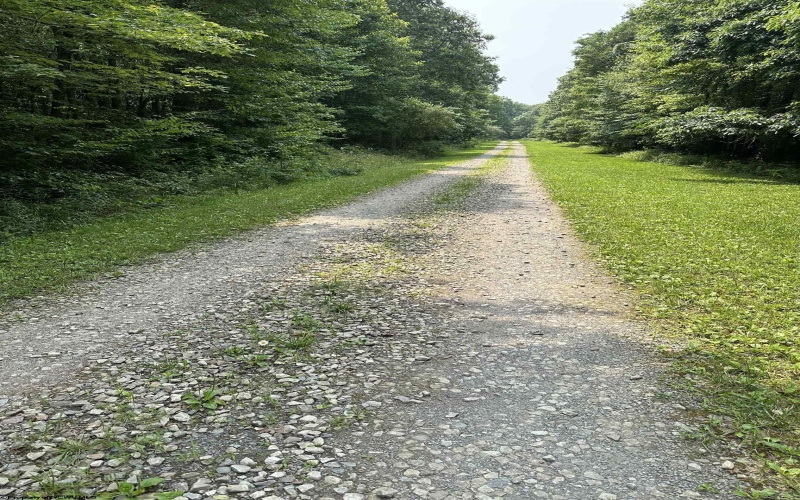 32 Oak Drive, Albright, West Virginia 26519, ,Lots/land,For Sale,Oak,10164399