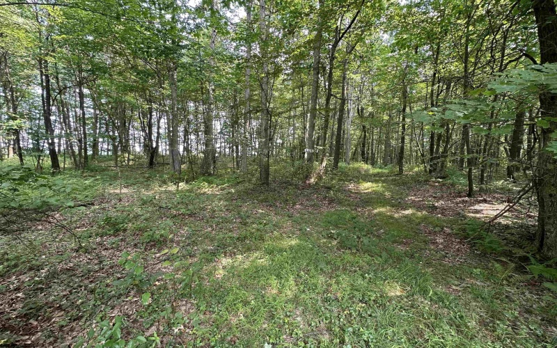 32 Oak Drive, Albright, West Virginia 26519, ,Lots/land,For Sale,Oak,10164399