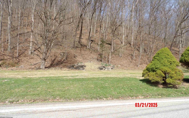2511 Chenoweth Creek Road, Elkins, West Virginia 26241, ,Lots/land,For Sale,Chenoweth Creek,10163103