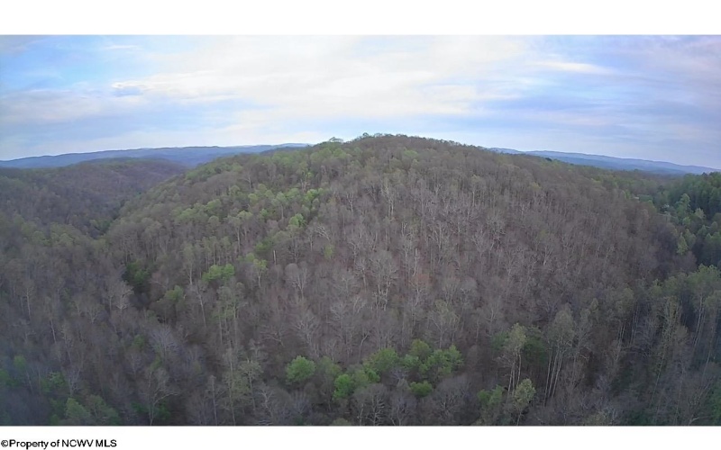 720 Fairview Road, Independence, West Virginia 26374, 2 Bedrooms Bedrooms, 6 Rooms Rooms,1 BathroomBathrooms,Single Family Detached,For Sale,Fairview,10164401