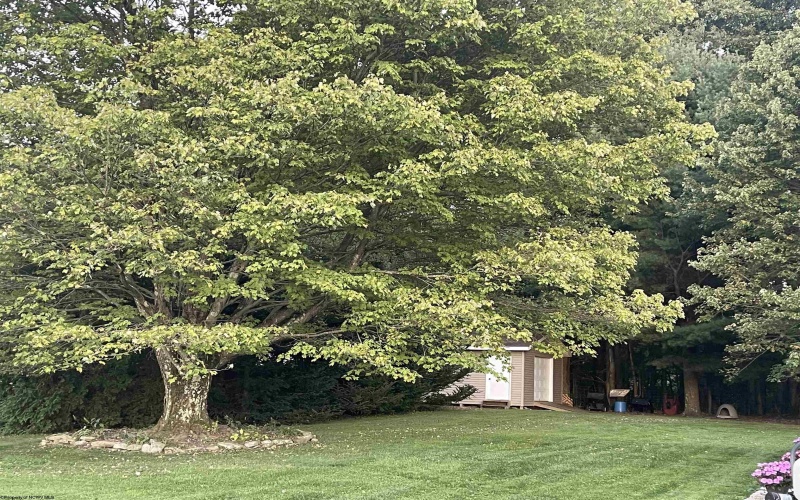 54 Grove Avenue, Reedsville, West Virginia 26547, 3 Bedrooms Bedrooms, 6 Rooms Rooms,4 BathroomsBathrooms,Single Family Detached,For Sale,Grove,10164402