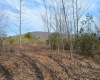 Lots 4 & 3 Grosbeak Drive, Terra Alta, West Virginia 26764, ,Lots/land,For Sale,Grosbeak,10164428