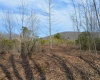 Lots 4 & 3 Grosbeak Drive, Terra Alta, West Virginia 26764, ,Lots/land,For Sale,Grosbeak,10164428