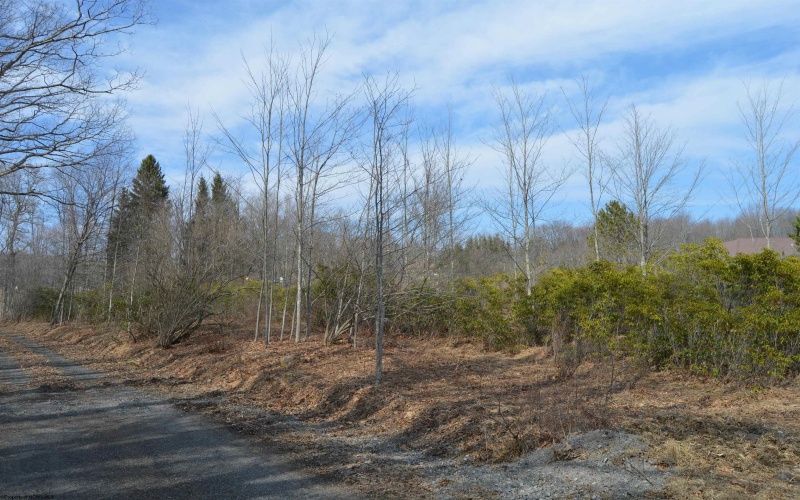 Lots 4 & 3 Grosbeak Drive, Terra Alta, West Virginia 26764, ,Lots/land,For Sale,Grosbeak,10164428