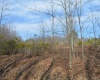 Lots 4 & 3 Grosbeak Drive, Terra Alta, West Virginia 26764, ,Lots/land,For Sale,Grosbeak,10164428