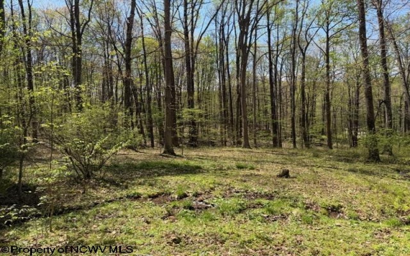 TBT Main Street, Montrose, West Virginia 26283, ,Lots/land,For Sale,Main,10164425