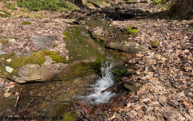 TBT Main Street, Montrose, West Virginia 26283, ,Lots/land,For Sale,Main,10164425