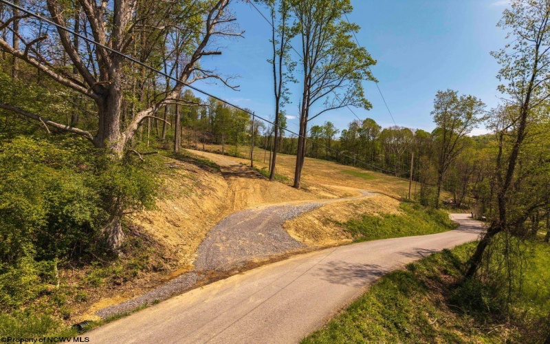 TBD Lifes Run Road, Jane Lew, West Virginia 26378, ,Lots/land,For Sale,Lifes Run,10164434