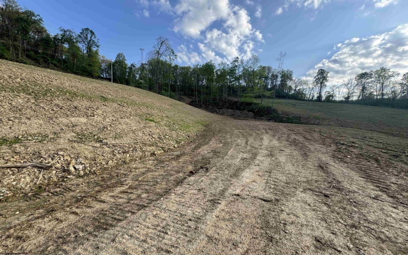 0 Lifes Run Road, Jane Lew, West Virginia 26378, ,Lots/land,For Sale,Lifes Run,10164434
