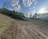 0 Lifes Run Road, Jane Lew, West Virginia 26378, ,Lots/land,For Sale,Lifes Run,10164434