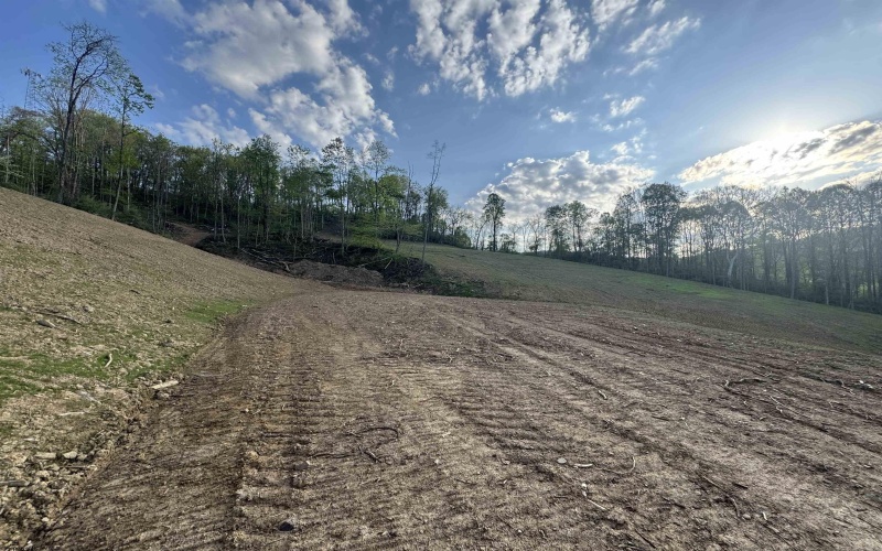 0 Lifes Run Road, Jane Lew, West Virginia 26378, ,Lots/land,For Sale,Lifes Run,10164434