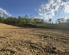 0 Lifes Run Road, Jane Lew, West Virginia 26378, ,Lots/land,For Sale,Lifes Run,10164434