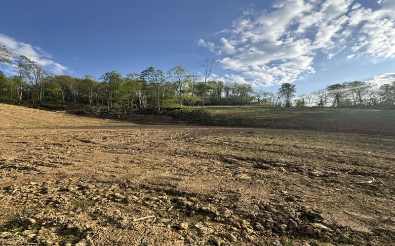 0 Lifes Run Road, Jane Lew, West Virginia 26378, ,Lots/land,For Sale,Lifes Run,10164434