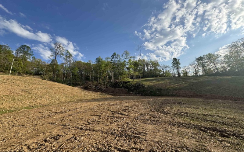 0 Lifes Run Road, Jane Lew, West Virginia 26378, ,Lots/land,For Sale,Lifes Run,10164434