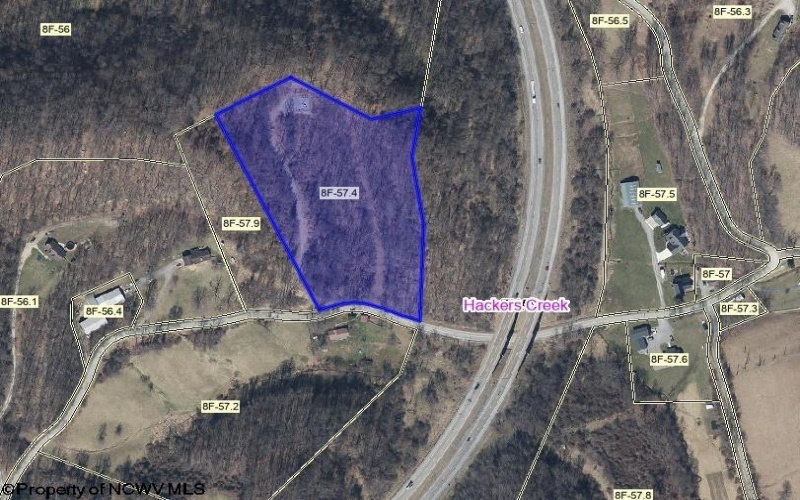 TBD Lifes Run Road, Jane Lew, West Virginia 26378, ,Lots/land,For Sale,Lifes Run,10164434