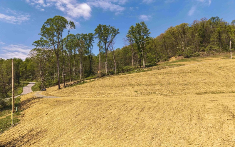 TBD Lifes Run Road, Jane Lew, West Virginia 26378, ,Lots/land,For Sale,Lifes Run,10164434