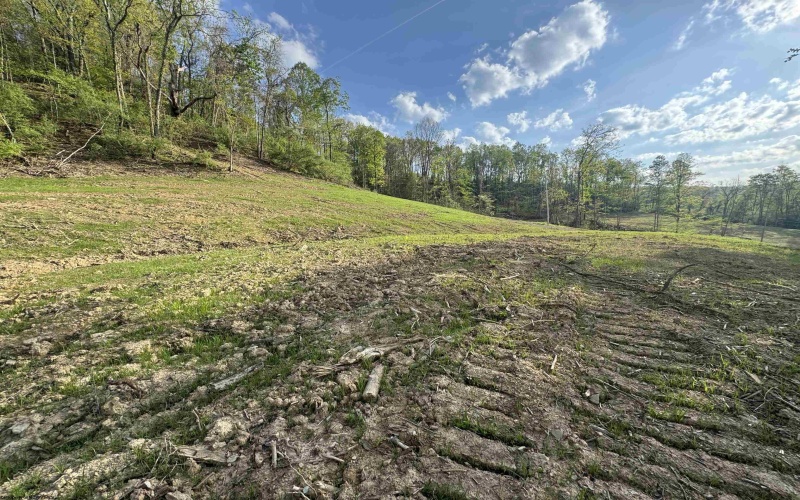 00 Lifes Run Road, Jane Lew, West Virginia 26378, ,Lots/land,For Sale,Lifes Run,10164435