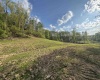 00 Lifes Run Road, Jane Lew, West Virginia 26378, ,Lots/land,For Sale,Lifes Run,10164435