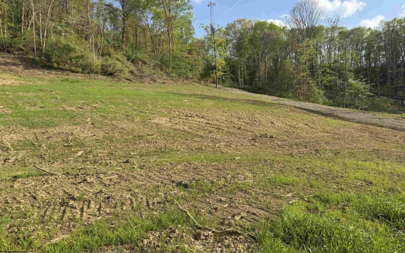 00 Lifes Run Road, Jane Lew, West Virginia 26378, ,Lots/land,For Sale,Lifes Run,10164435