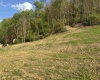00 Lifes Run Road, Jane Lew, West Virginia 26378, ,Lots/land,For Sale,Lifes Run,10164435