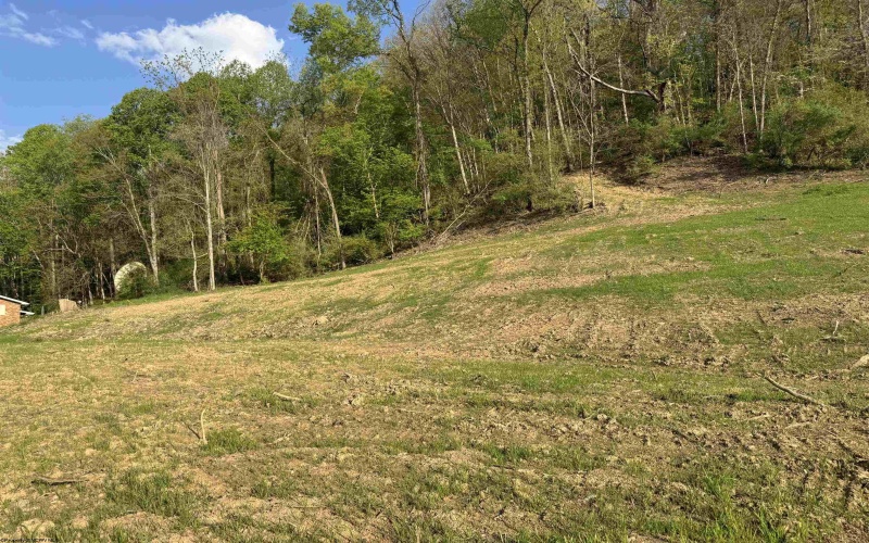 00 Lifes Run Road, Jane Lew, West Virginia 26378, ,Lots/land,For Sale,Lifes Run,10164435