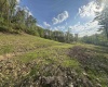 00 Lifes Run Road, Jane Lew, West Virginia 26378, ,Lots/land,For Sale,Lifes Run,10164435