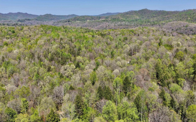 280 Peregrine Ridge Road, Lansing, West Virginia 25938, ,Lots/land,For Sale,Peregrine Ridge,10164440